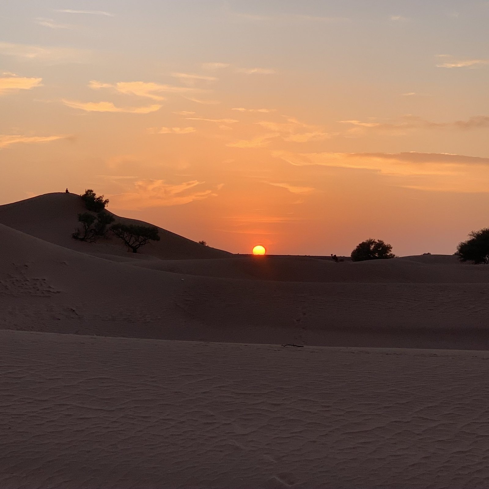 Day 3: M’HAMID – MARRAKECH