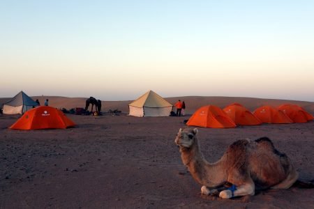 Tours Sahara Desert Trekking Morocco Sahara Vibe
