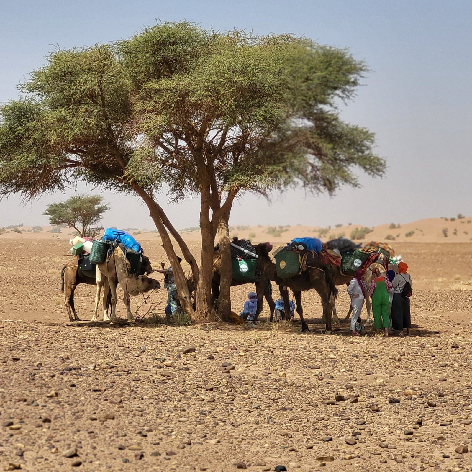 Day 3: LBOUDIAT – HASSI NAANAA – STILLA