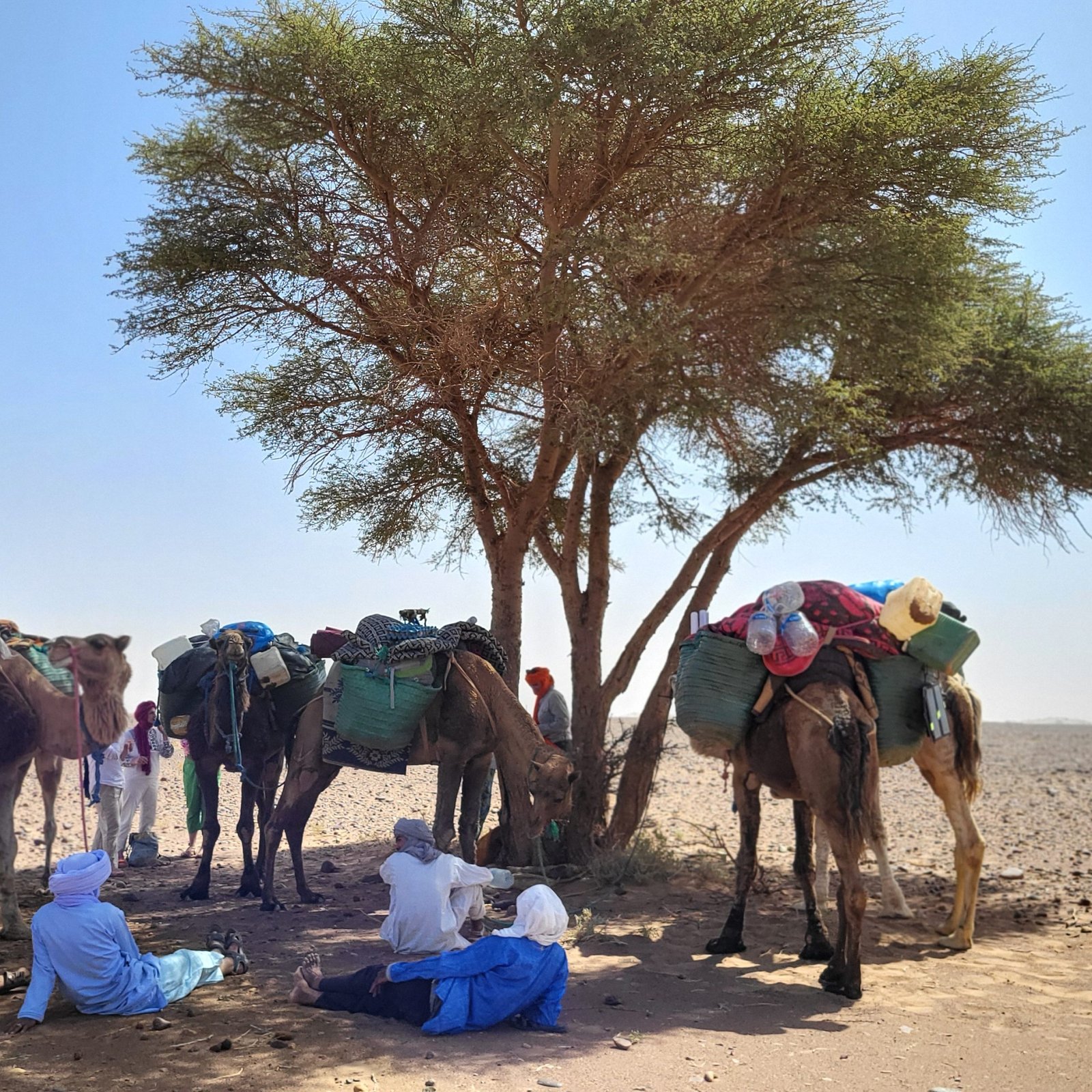 Sahara Desert Trekking Morocco Tours Yoga Retreat