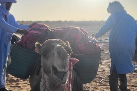 2 days camel trekking Morocco