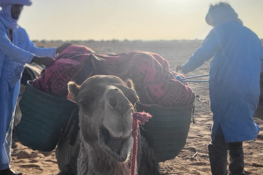 2 days camel trekking Morocco