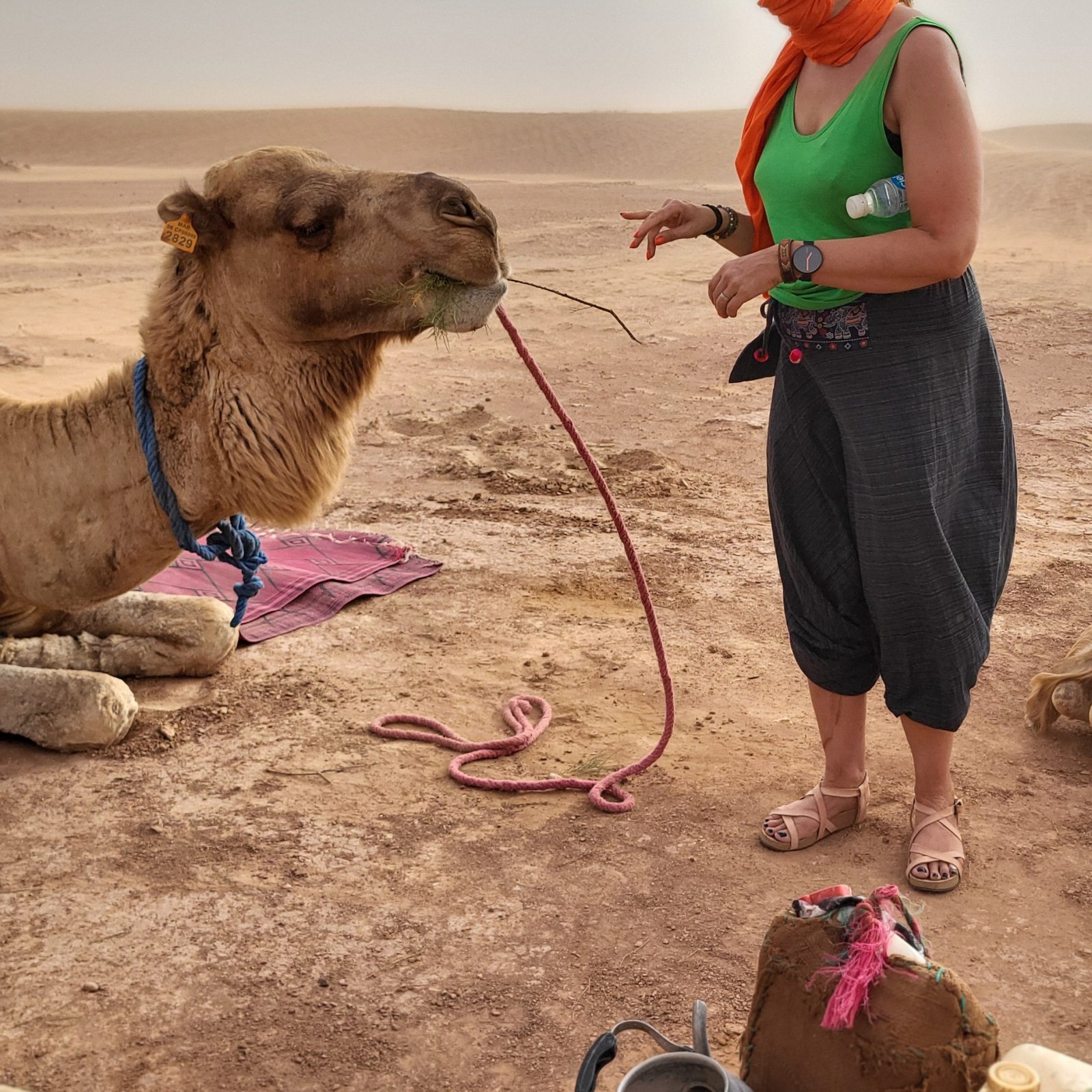 Sahara Desert Trekking Morocco Tours Yoga Retreat