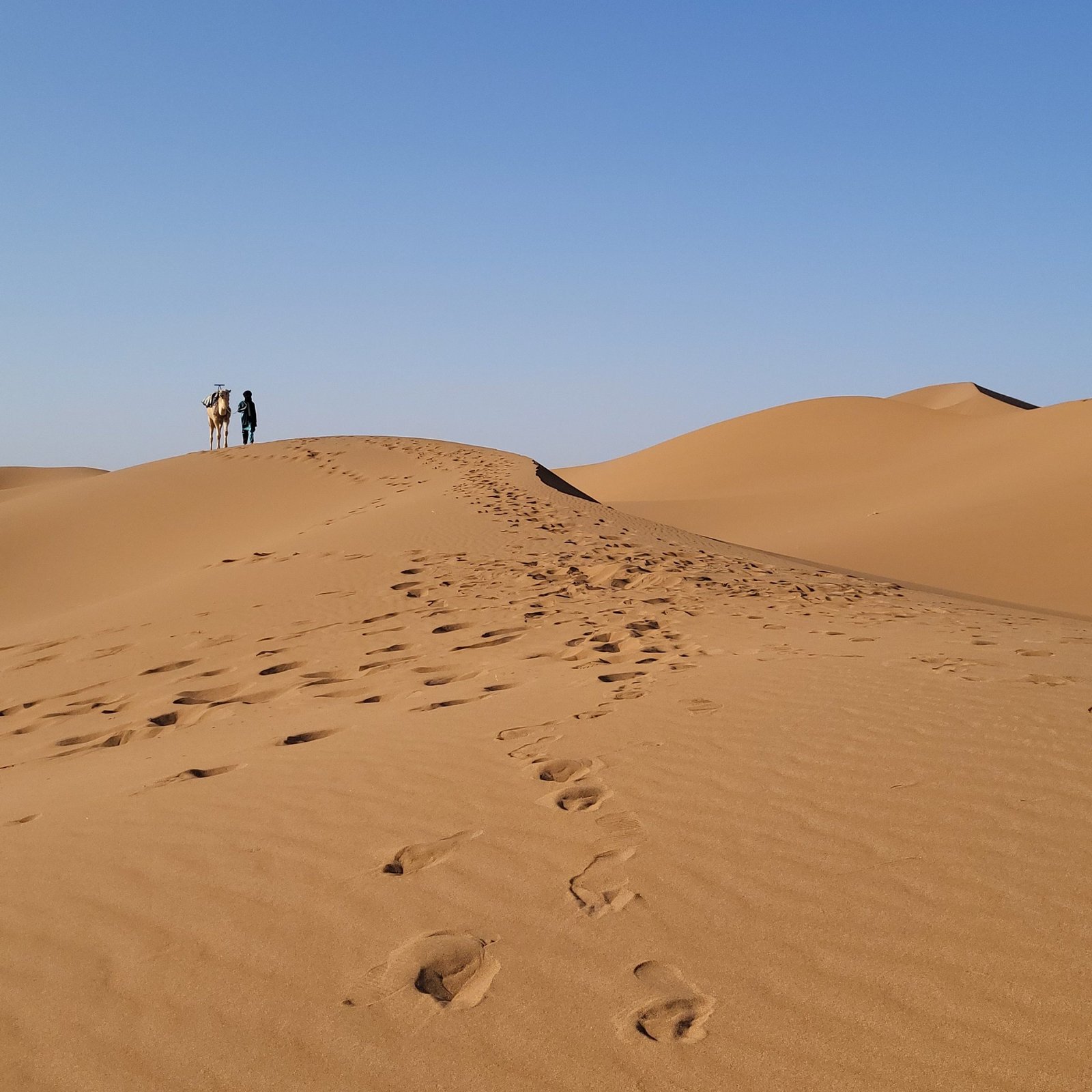 Sahara Desert camel trek Morocco with local nomads