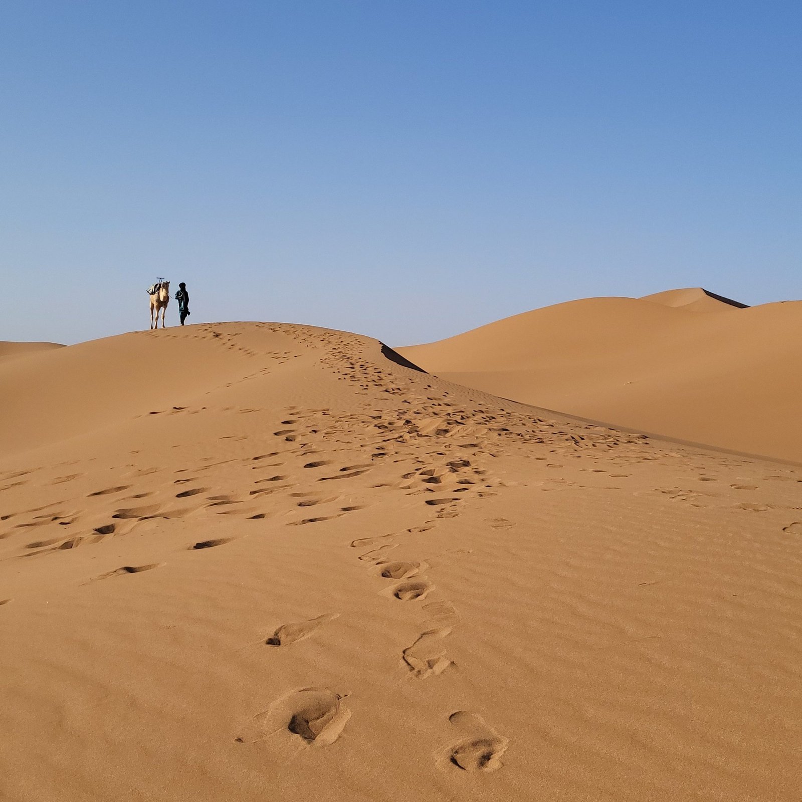 Sahara Desert Trekking Morocco Tours Yoga Retreat
