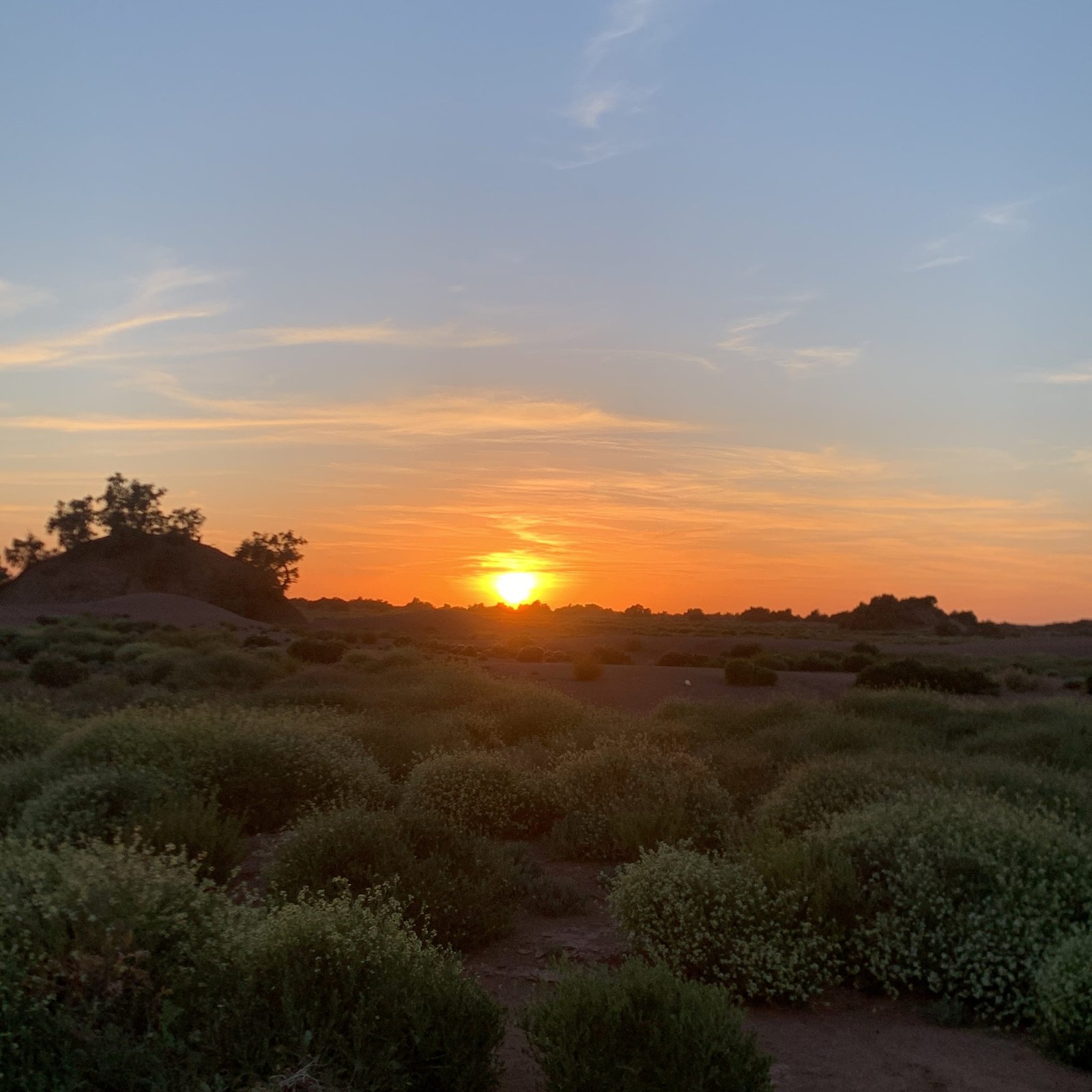  Day 1: MARRAKECH – M’HAMID