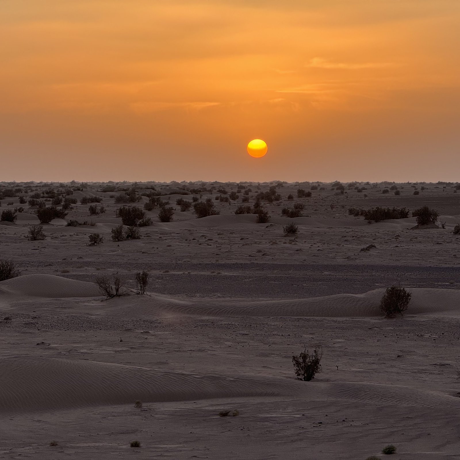 Day 3: ERG BOUZIAN – RASS ERRICH