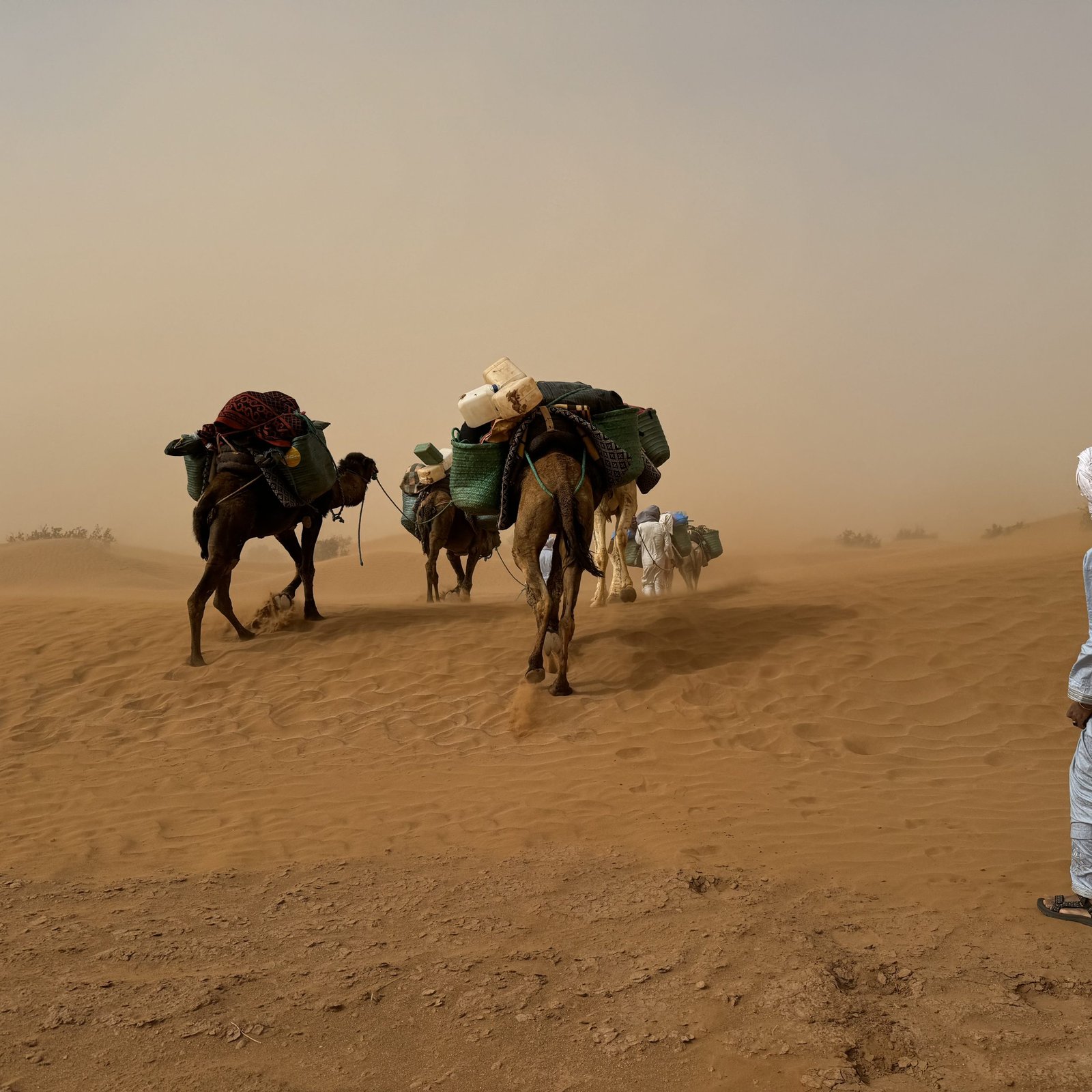 Day 3: SIDI NAJI – ERG ZAHAR