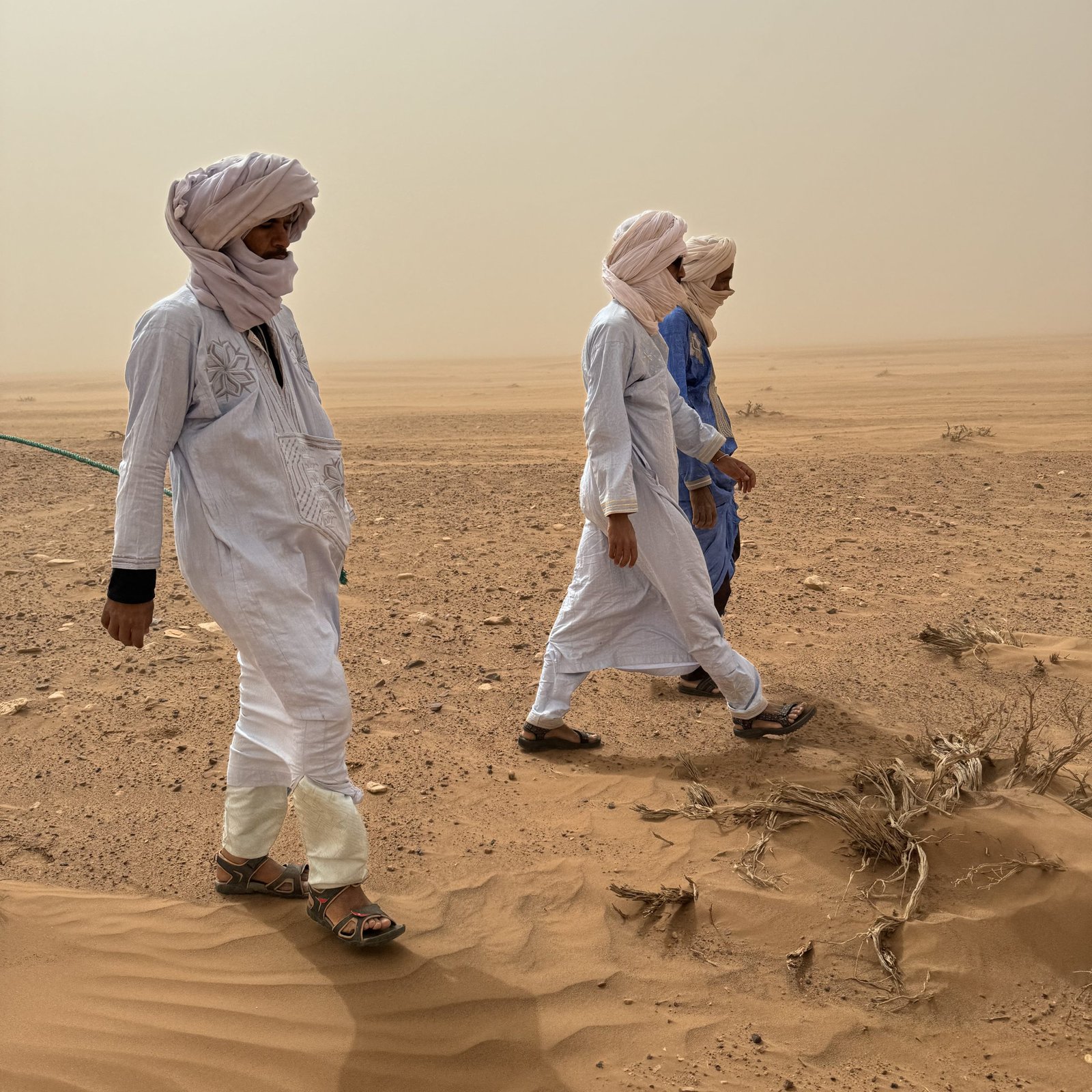 Day 1: MARRAKECH – M’HAMID