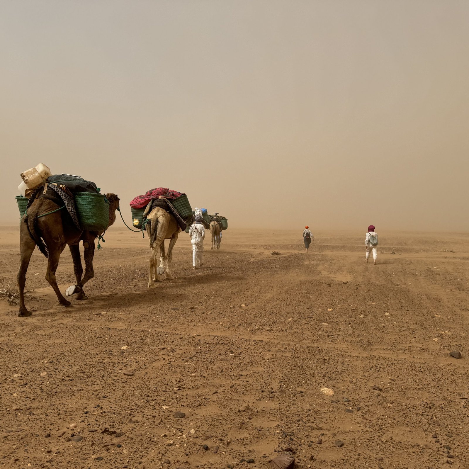 Day 2: M’HAMID – LAHNANICHE