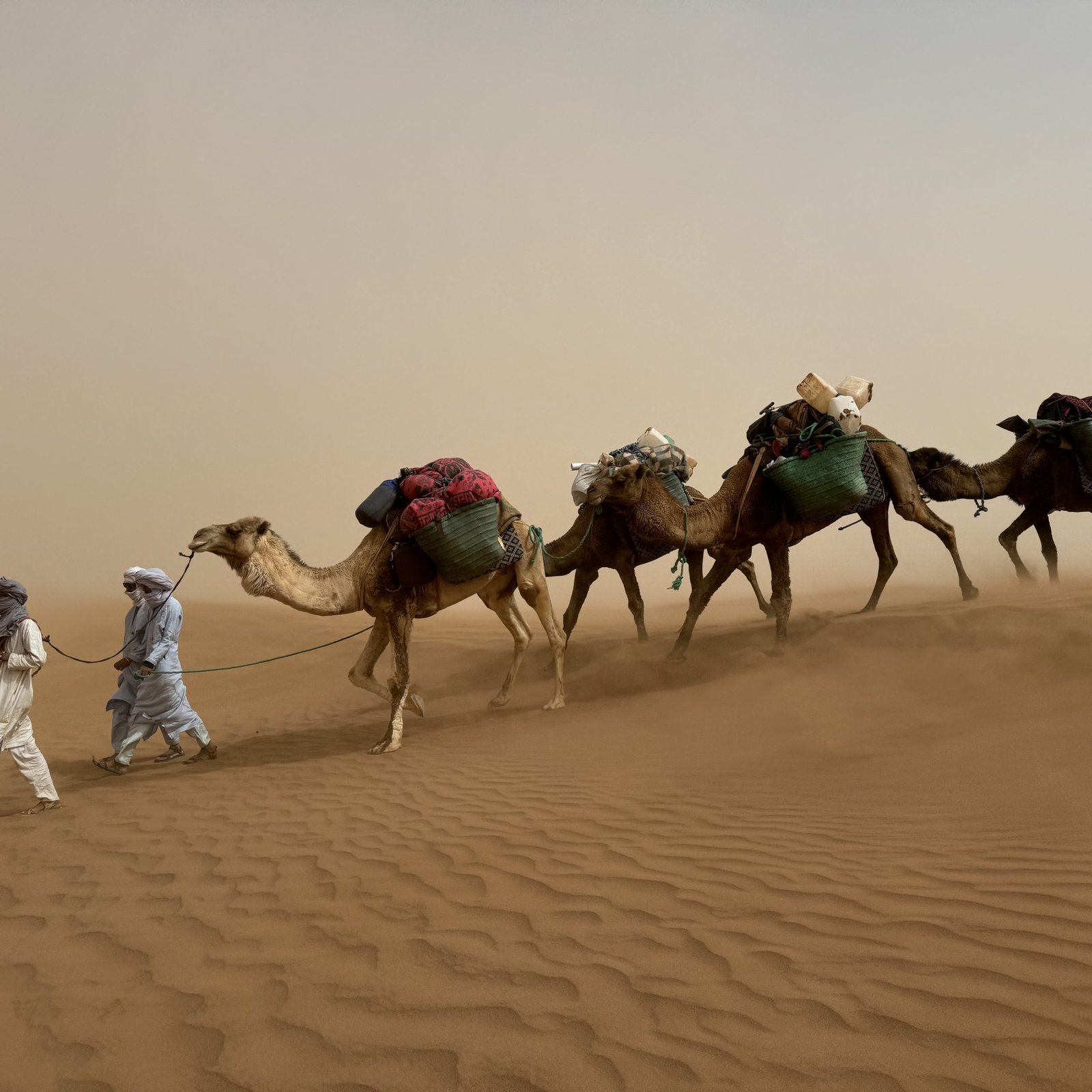 Day 2: M’HAMID – ERG BOUZIAN