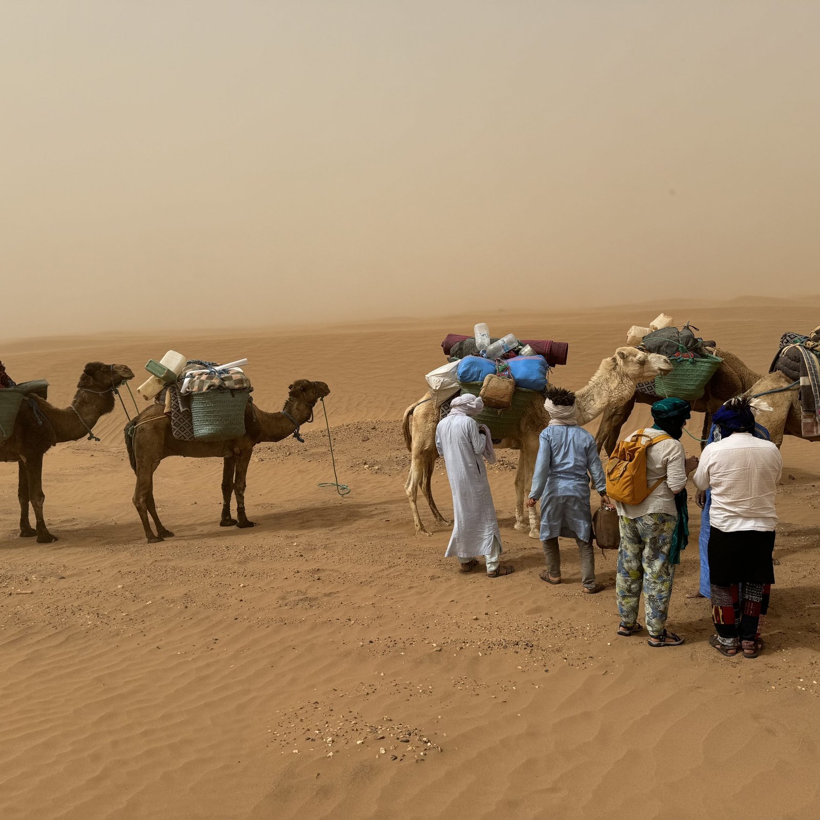 Day 2: M’HAMID – ERG BOUZIAN