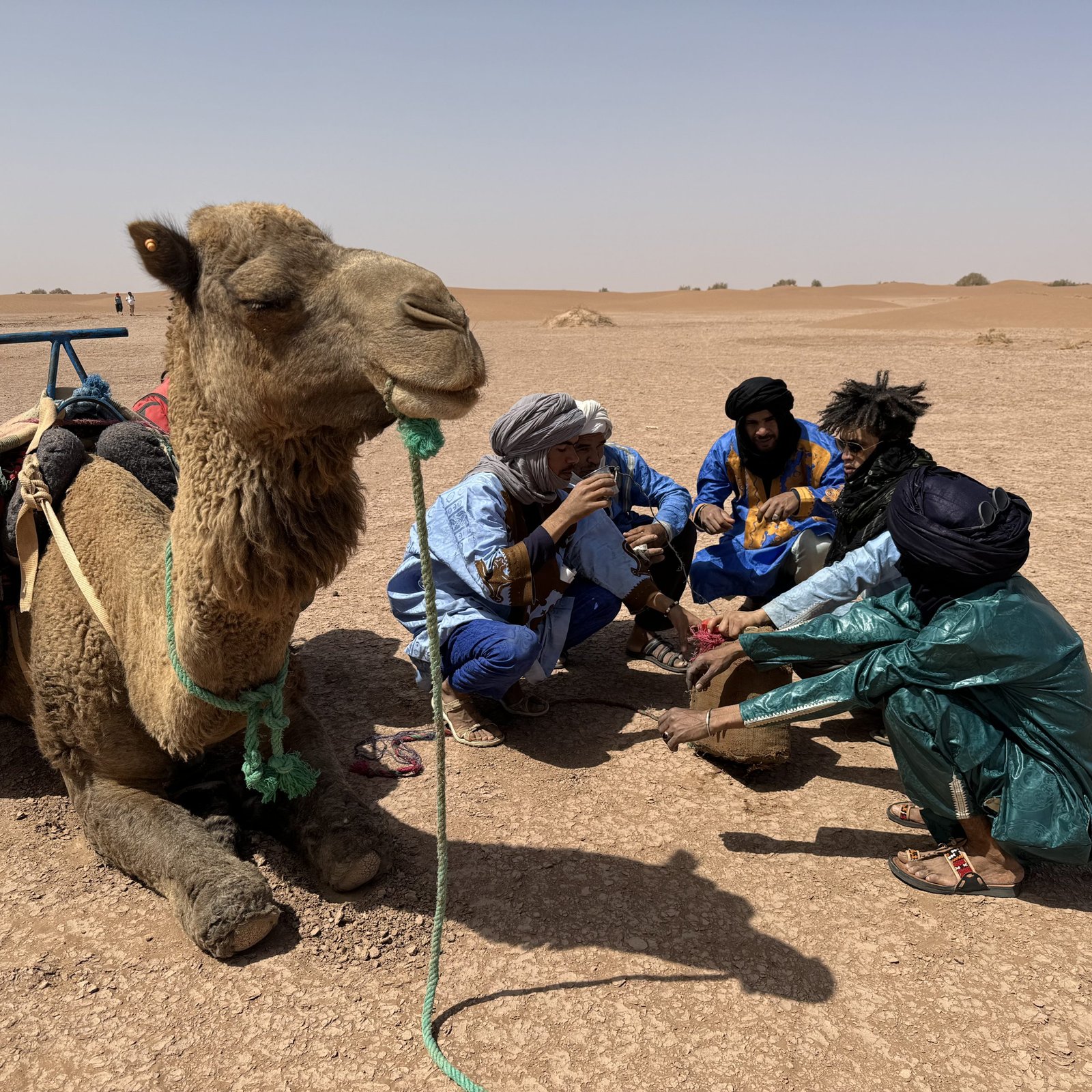 Day 8: M’HAMID – MARRAKECH