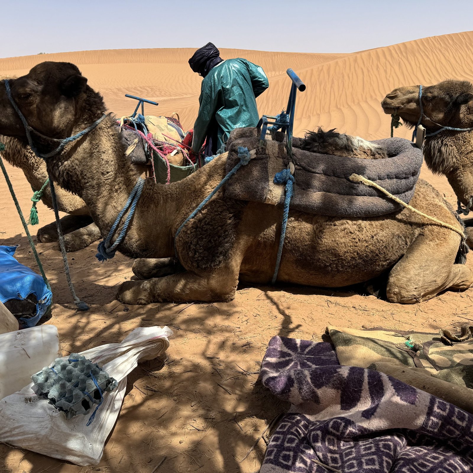 Day 6: ERG SADRA – OUED LAATACH – BOUGERN