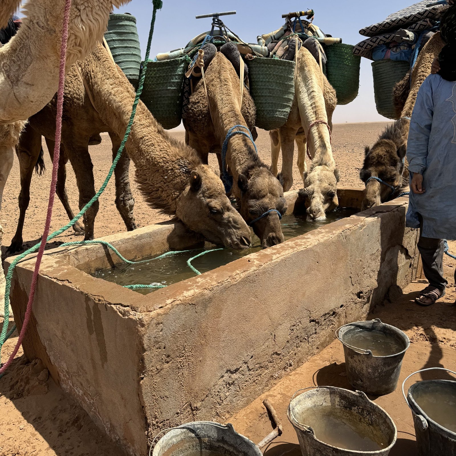 Day 5: M’HAMID – MARRAKECH