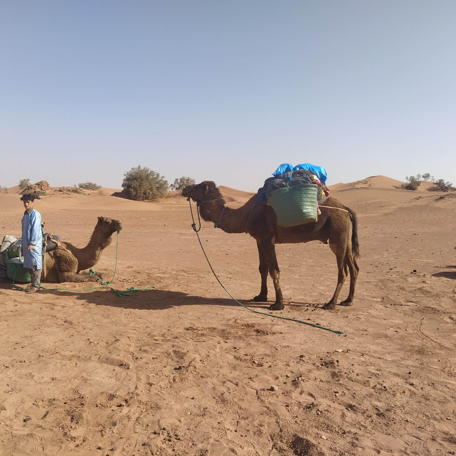 Day 2: DJINEYA – OASIS OUM LILI – LBOUDIAT