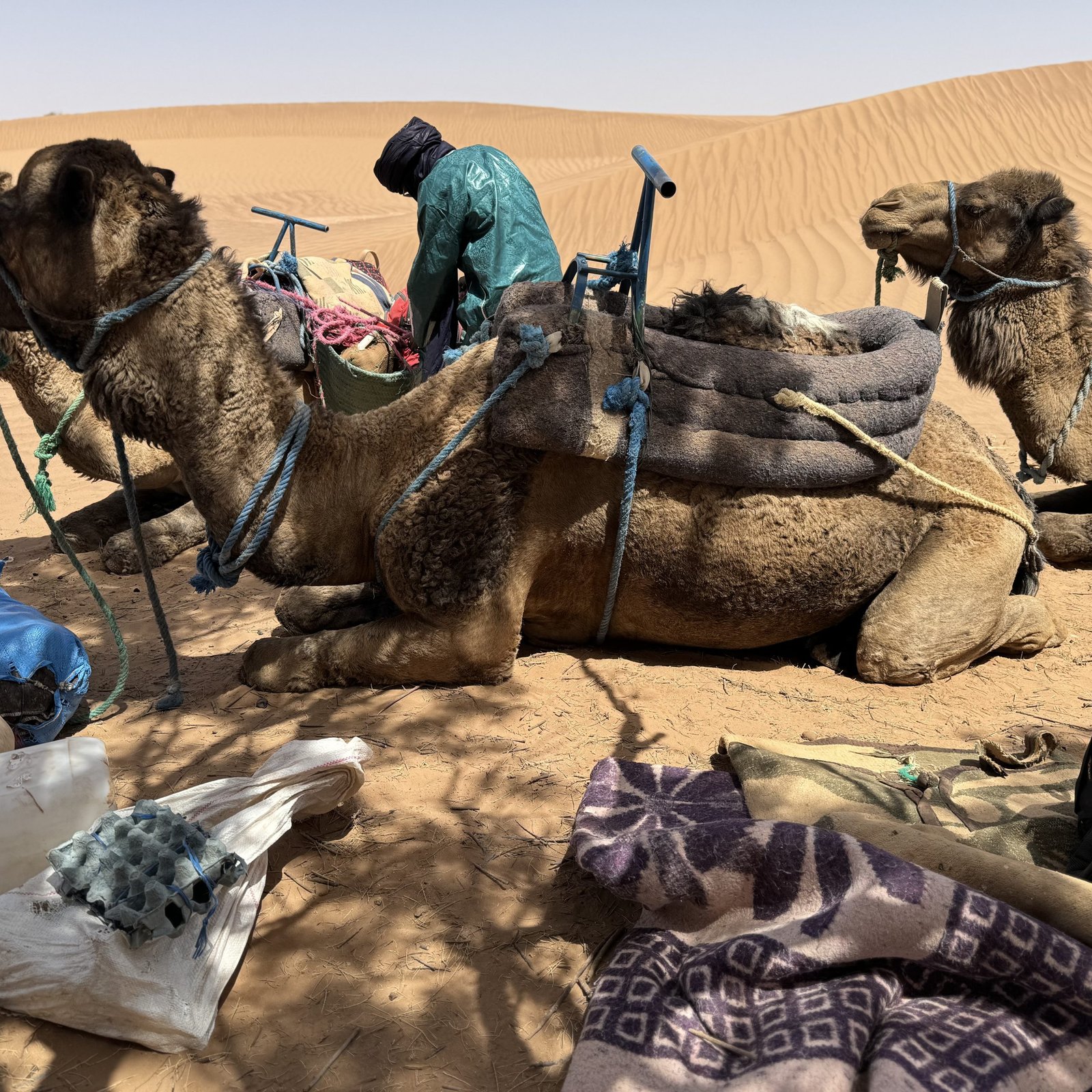 Day 5: CREATJMAL – BERTAM