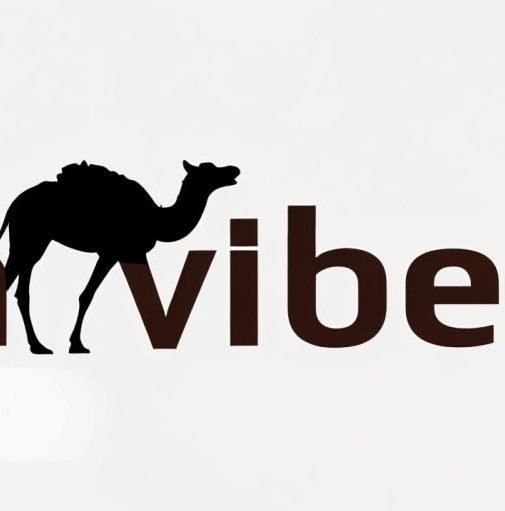 SAHARAVIBE DESERT TOURS MOROCCO