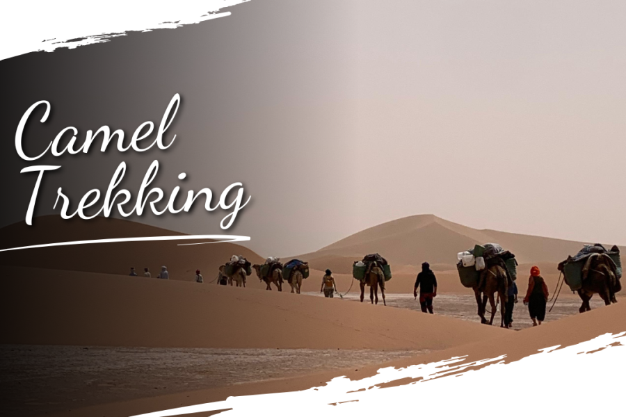 Sahara Desert Trekking Morocco