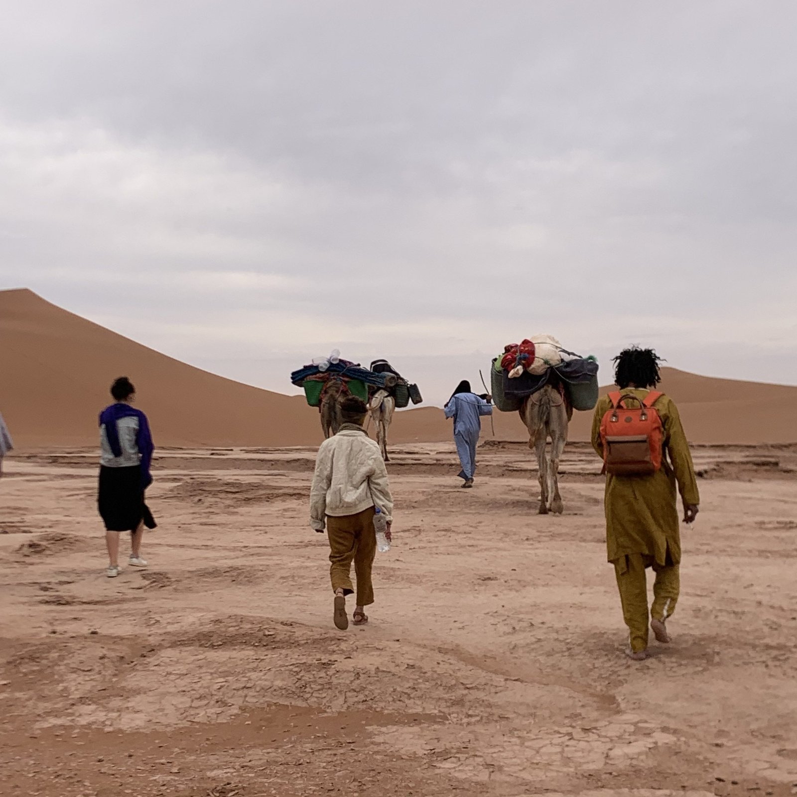Morocco walking hiking trekking holidays in Sahara dunes