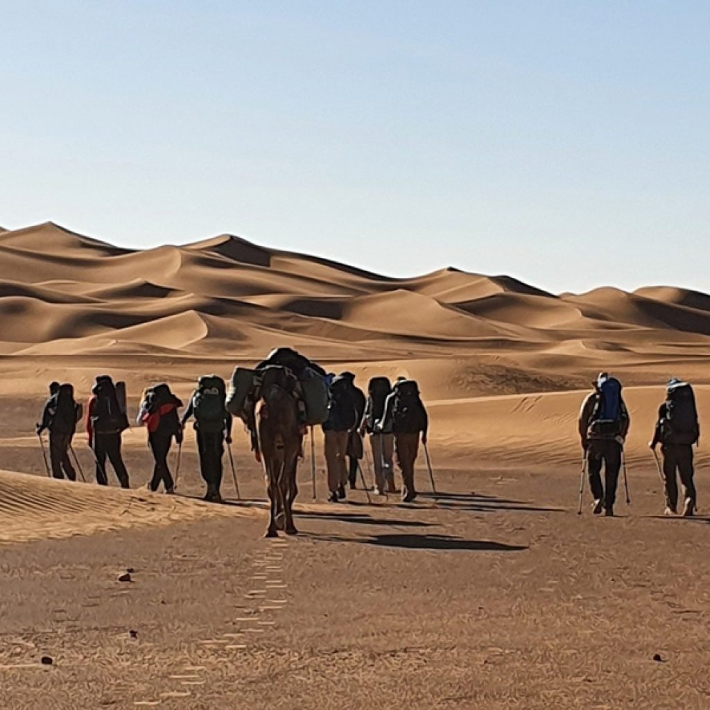 4 Days Camel Trekking Desert Morocco