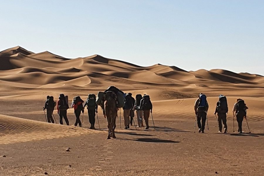 Sahara Desert Trekking Morocco Walk with a Nomad Caravan
