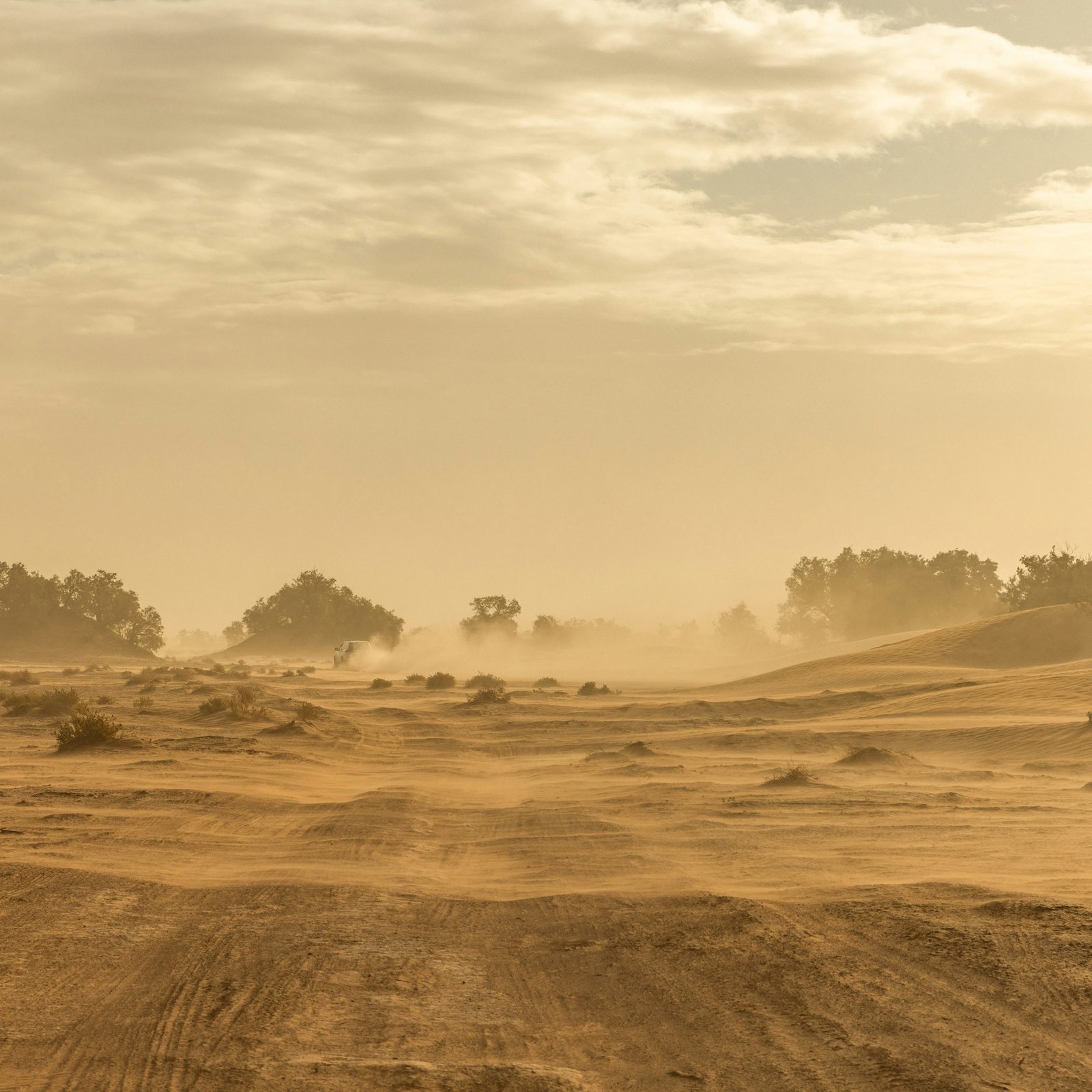 Sahara Desert Trekking Morocco Tours Yoga Retreat