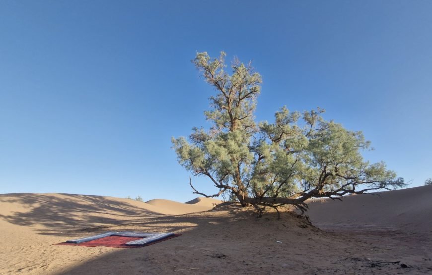 3 Days Sahara Trek Morocco | Camel Trekking in Mhamid El ghizlane