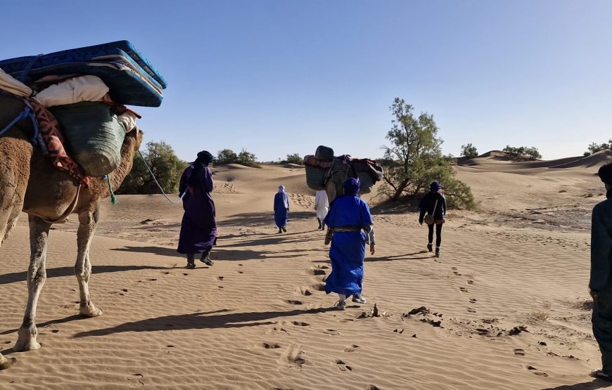 3 Days Sahara Trek Morocco | Camel Trekking in Mhamid El ghizlane