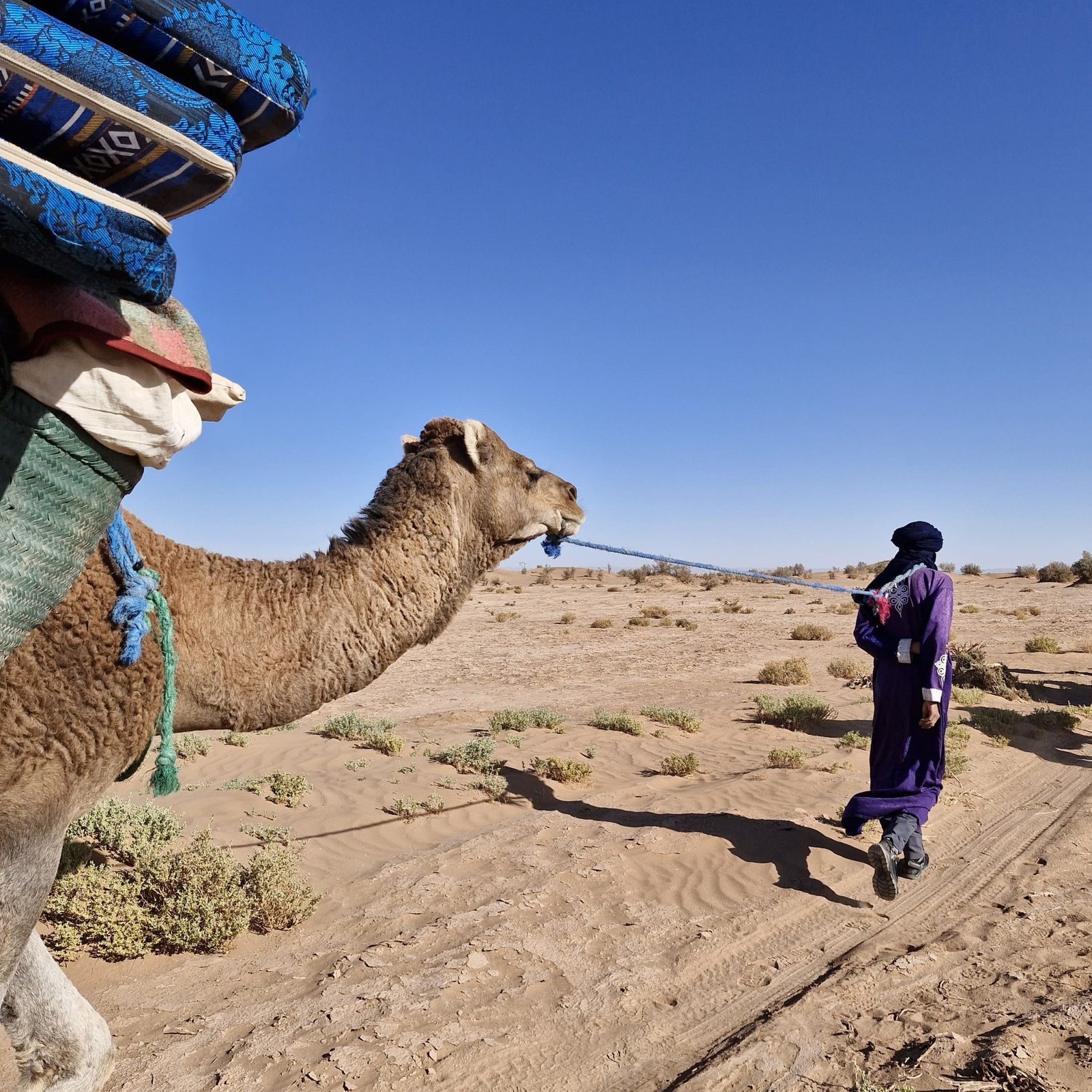 Day 2 — A Full Day of Camel Trekking in the Sahara