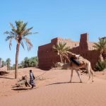 M’Hamid El Ghizlane Desert Tour | Sahara Gateway & Trekking
