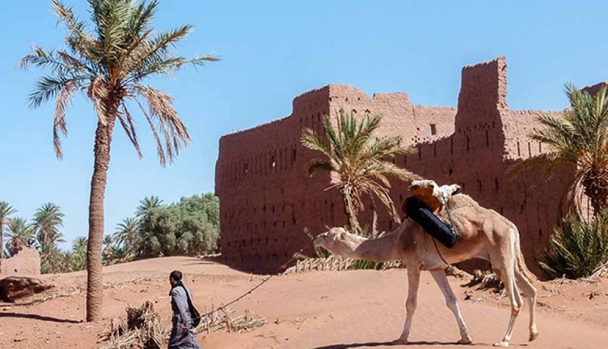 M’Hamid El Ghizlane Desert Tour | Sahara Gateway & Trekking