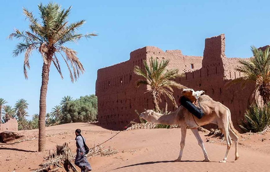 3 Days Sahara Trek Morocco | Camel Trekking in Mhamid El ghizlane
