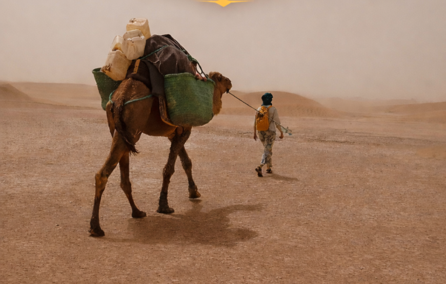 3 Days Sahara Trek Morocco | Camel Trekking in Mhamid El ghizlane