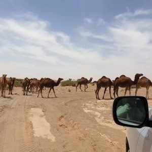 4 Day Desert Tour from Marrakech to Erg Chigaga | Sahara Vibe