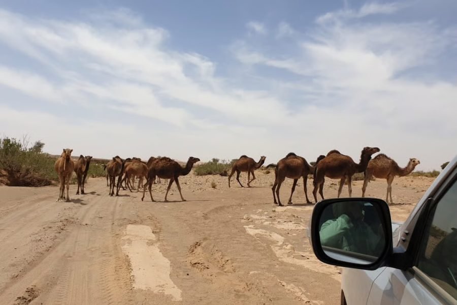 4 Day Desert Tour from Marrakech to Erg Chigaga | Sahara Vibe