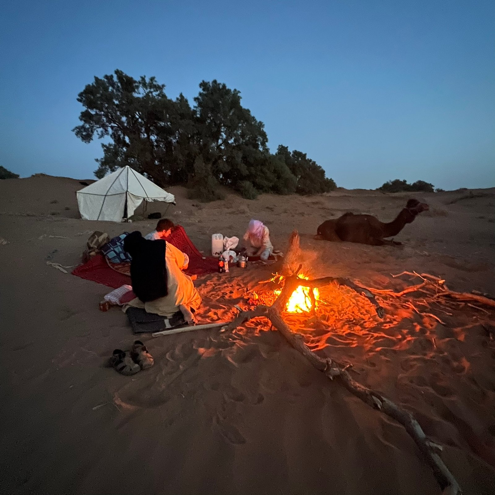 Day 1 — M’Hamid and the Start of Your Camel Trek