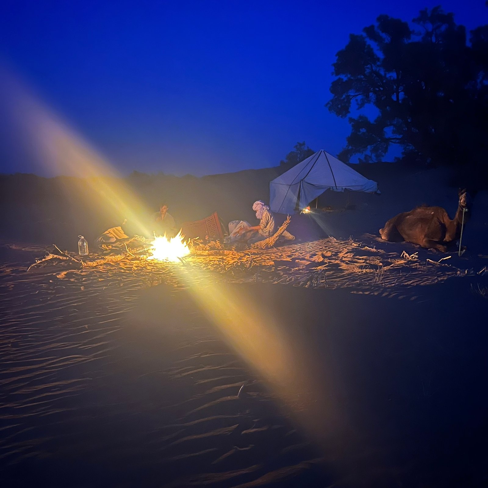 Day 1 – Leave the Road Behind and Follow the Camel Caravan