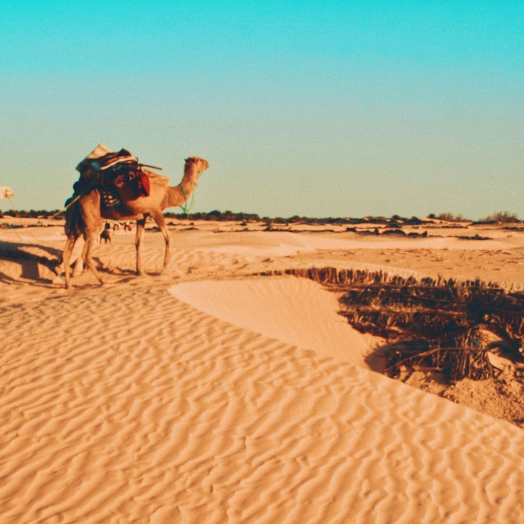 Morocco Private Desert Tours | Sahara Vibe
