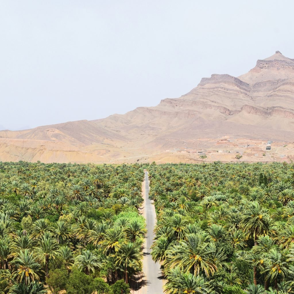 Private Morocco desert tour through the Draa Valley with palm oases and desert landscapes